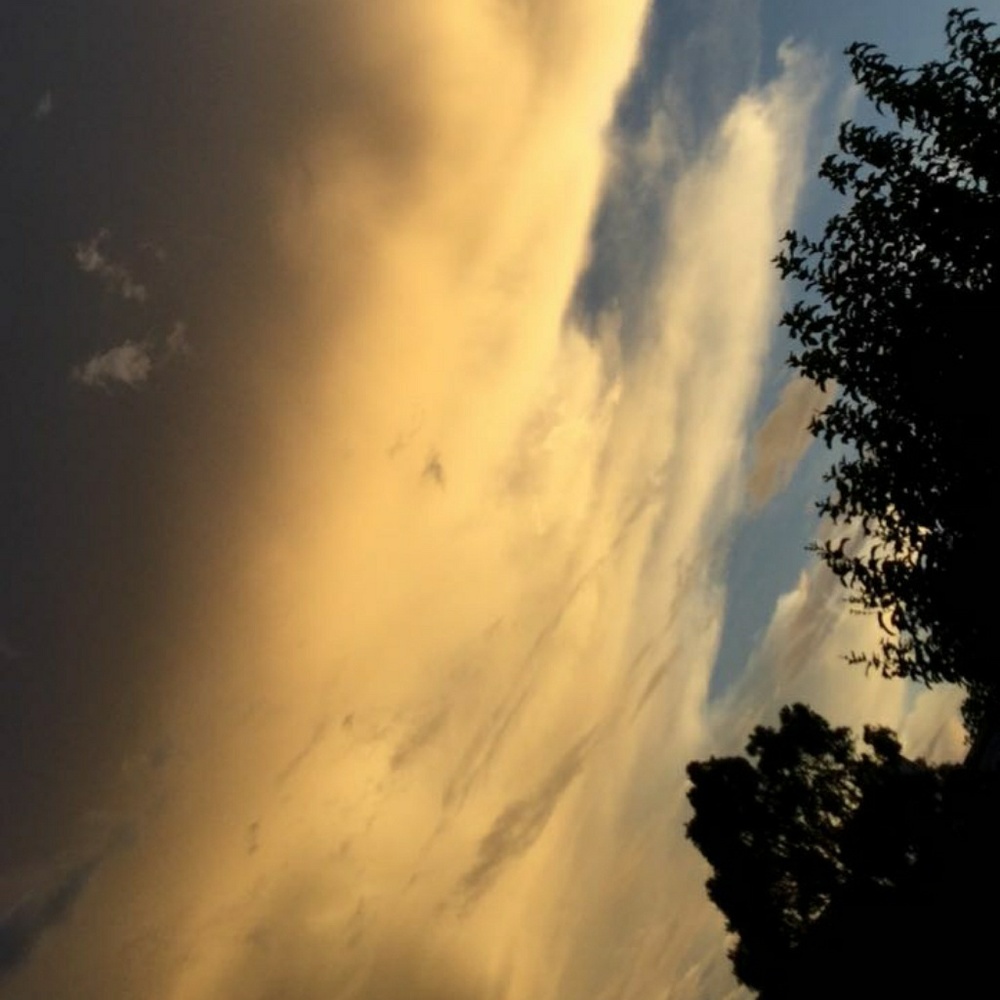 Meet your Posher, Aaliyah